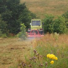 Kommunal- & Gartenservice Mester aus Uslar - Impressionen